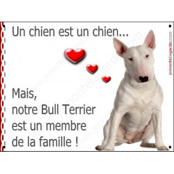 Bull Terrier Blanc Assis, plaque "Membre de la Famille" 2 Tailles LOV A