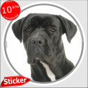 Cane Corso, autocollant rond "photo" 15 cm, intérieur ou Extérieur