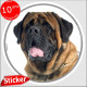 Mastiff Tête,, sticker autocollant rond "photo" intérieur/Extérieur disque adhésif