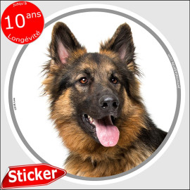 Berger Allemand poils longs, sticker autocollant rond "photo" Disque adhésif  résiste pluie soleil gel
