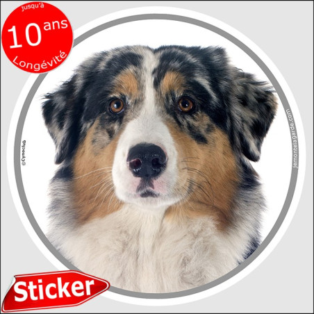 Berger Australien bleu merle, sticker autocollant rond "photo" intérieur ou Extérieur, adhésif aussie