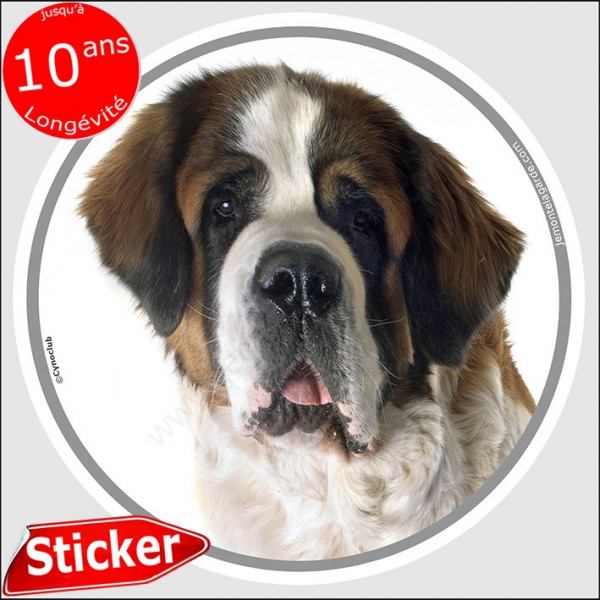 Saint-Bernard, sticker autocollant rond "photo" 15 cm intérieur/Extérieur adhésif st-bernard