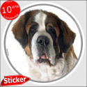 St-Bernard, disque autocollant rond "photo" 15 cm