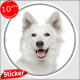Berger Blanc Suisse, sticker autocollant rond "photo" disque résistant Intempéries