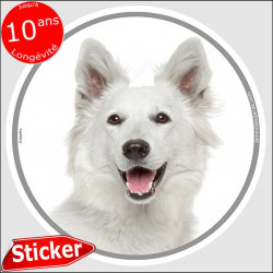 Berger Blanc Suisse, sticker autocollant rond "photo" disque résistant Intempéries