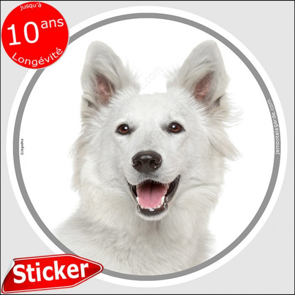 Berger Blanc Suisse, sticker autocollant rond "photo" disque résistant Intempéries
