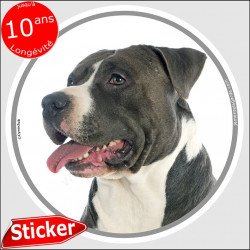 Amstaff noir et blanc, sticker autocollant rond "photo" 15 cm intérieur/Extérieur American Stafforshire Terrier