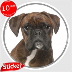 Boxer bringé, sticker autocollant rond "photo" 15 cm intérieur/Extérieur, adhésif voiture photo chien