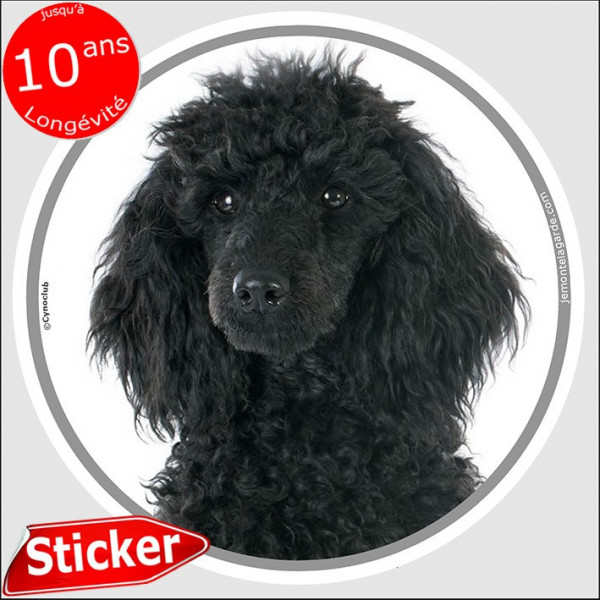 Caniche noir, sticker autocollant rond "photo" 15 cm intérieur/Extérieur adhésif voiture