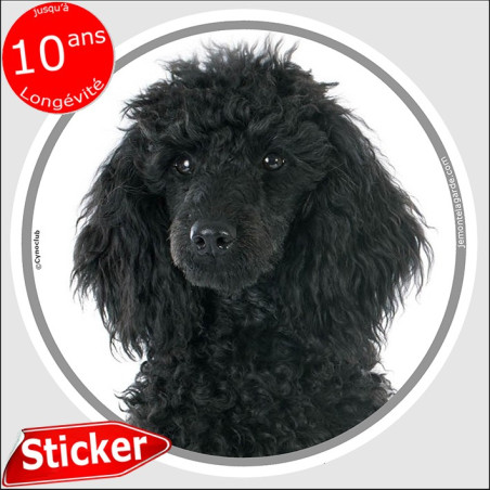Caniche noir, sticker autocollant rond "photo" disque adhésif voiture, résiste pluie soleil gel, idée cadeau