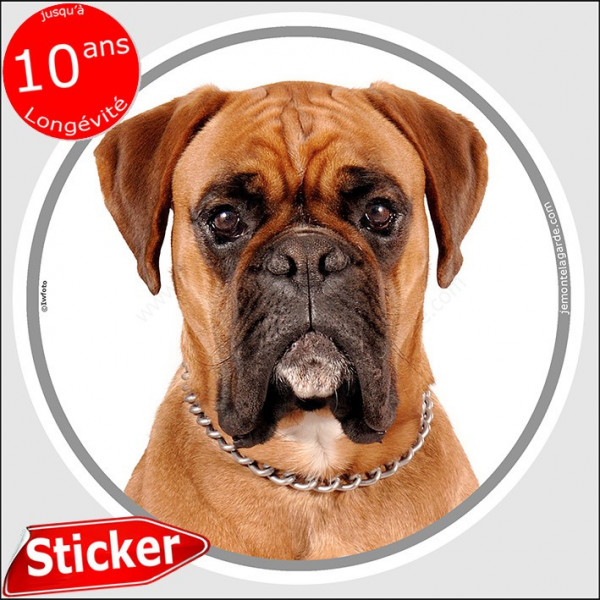 Boxer fauve marron, sticker autocollant rond "photo" 15 cm intérieur/Extérieur adhésif chien résistant intempéries