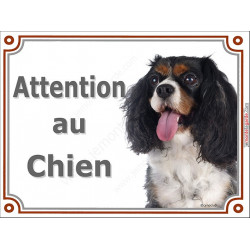 Cavalier King Charles tricolore, plaque portail "Attention au Chien" pancarte panneau 3 couleurs photo