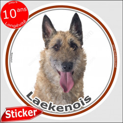 Sticker rond 15 cm, Berger Belge Laekenois Tête, intérieur/extérieur, autocollant adhésif résistant dehors