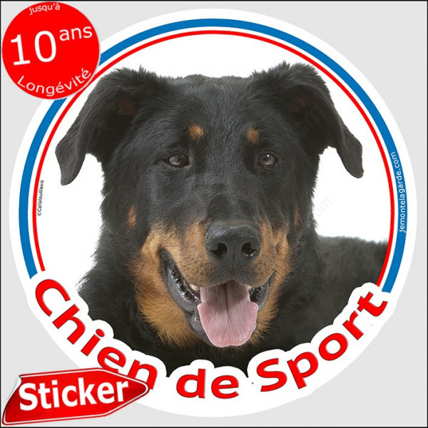Beauceron noir et feu Tête, Sticker rond "Chien de Sport" Disque photo intérieur ou Extérieur autocollant berger de beauce adhés