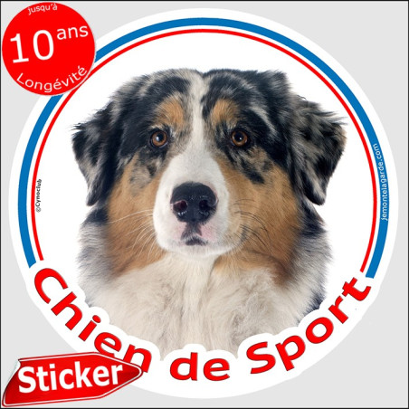 Sticker rond "Chien de Sport" Berger Australien Bleu Merle Tête, intérieur/Extérieur, autocollant adhésif sportif agility