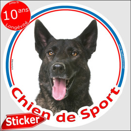 Berger Hollandais bringé Tête, sticker rond "Chien de Sport" autocollant adhesif agility photo, résiste pluie soleil gel, idée c
