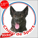 Berger Hollandais, sticker "Chien de Sport" 15 cm résitant intempéries
