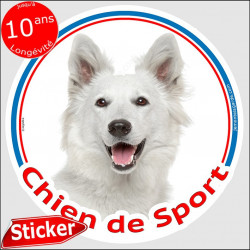 Sticker rond "Chien de Sport" 15 cm, Berger Blanc Suisse Tête, intérieur/Extérieur photo agility