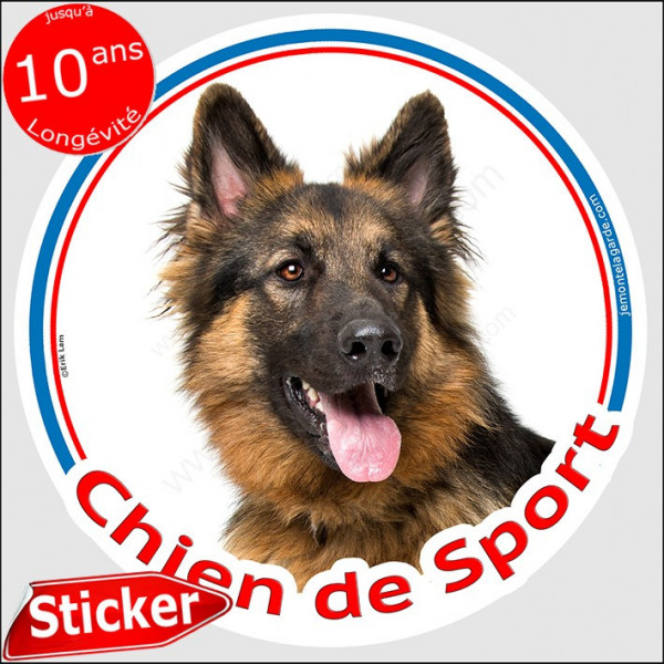 Sticker rond "Chien de Sport" 15 cm, Berger Allemand poils longs Tête, intérieur/Extérieur, autocollant agility photo