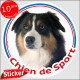 Sticker rond "Chien de Sport" 15 cm, Berger Australien Tricolore noir Tête, intérieur/Extérieur autocollant Aussie photo