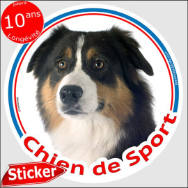 Sticker rond "Chien de Sport" Berger Australien Tricolore noir Tête, autocollant Aussie photo, résiste pluie soleil gel, idée ca