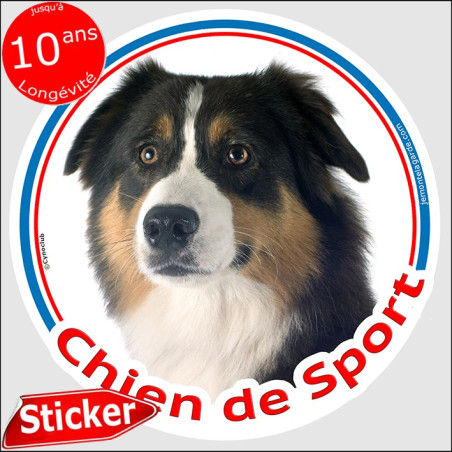 Sticker rond "Chien de Sport" Berger Australien Tricolore noir Tête, autocollant Aussie photo, résiste pluie soleil gel, idée ca