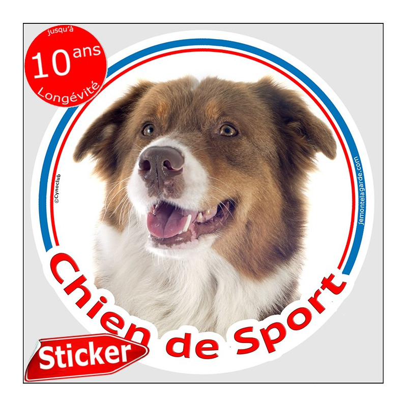 Berger Australien Tricolore rouge, sticker rond "Chien de Sport" Disque intérieur ou Extérieur, autocollant agility aussie photo Berger Australien Tricolore rouge, sticker rond "Chien de Sport" Disque intérieur ou Extérieur, autocollant agility aussie photo