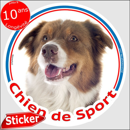 Berger Australien Tricolore rouge, sticker rond photo "Chien de Sport" résiste pluie soleil gel, idée cadeau, 2 Tailles D Berger Australien Tricolore rouge, sticker rond photo "Chien de Sport" résiste pluie soleil gel, idée cadeau, 2 Tailles D