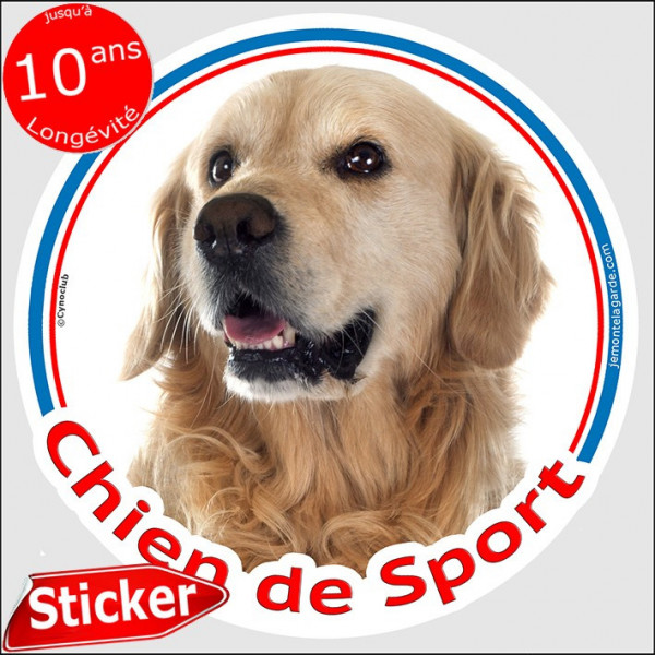Sticker rond "Chien de Sport" 15 cm, Golden Retriever Tête, intérieur/Extérieur autocollant photo