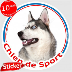 Siberian Husky gris Tête, sticker rond "Chien de Sport" disque intérieur ou Extérieur autocollant yeux bleus photo