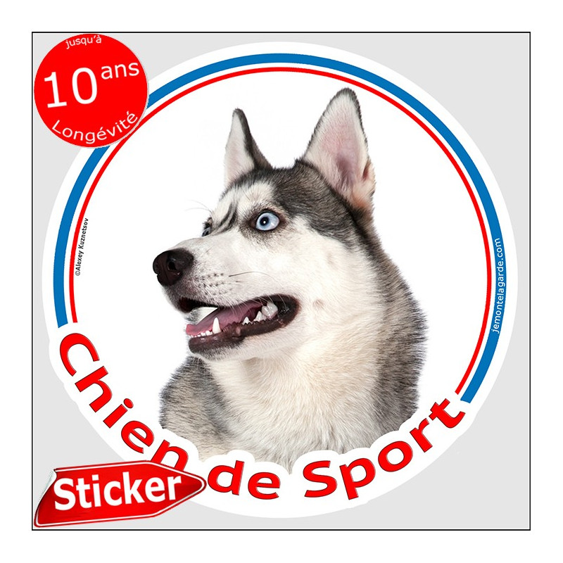 Siberian Husky gris TĂȘte, sticker rond "Chien de Sport" disque intĂ©rieur ou ExtĂ©rieur autocollant yeux bleus photo Siberian Husky gris TĂȘte, sticker rond "Chien de Sport" disque intĂ©rieur ou ExtĂ©rieur autocollant yeux bleus photo