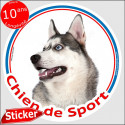 Husky gris, sticker rond "Chien de Sport" 15 cm, intérieur ou Extérieur