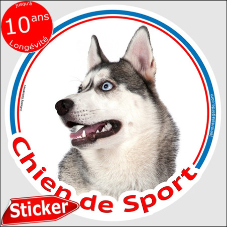 Husky gris, sticker rond "Chien de Sport" 15 cm, intérieur ou Extérieur Husky gris, sticker rond "Chien de Sport" 15 cm, intérieur ou Extérieur