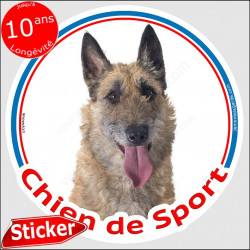 Sticker rond "Chien de Sport" 15 cm, Berger Belge Laekenois Tête, intérieur/Extérieur, autocollant agility lakenois photo