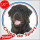 Sticker rond "Chien de Sport" 15 cm, Rottweiler Tête, intérieur/Extérieur, Autocollant Rott agility photo sportif