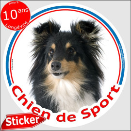 Berger Shetland tricolore, sticker autocollant rond "Chien de Sport"  intérieur ou Extérieur, sheltie agility sportif photo disq