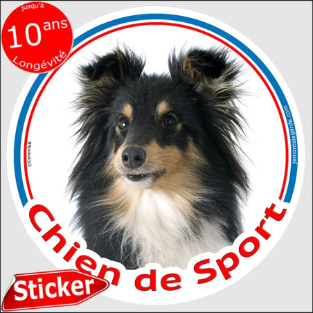 Berger Shetland tricolore, sticker autocollant rond "Chien de Sport"  intérieur ou Extérieur, sheltie agility sportif photo disq