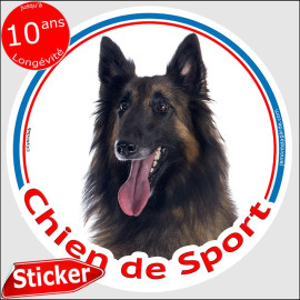 Sticker rond "Chien de Sport" Berger Belge Tervueren, adhésif Tervuren sportif photo, résiste pluie soleil gel, idée cadeau
