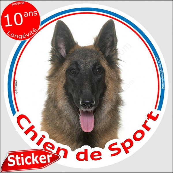 Sticker rond "Chien de Sport" 15 cm, Berger Belge Tervueren Tête, intérieur/Extérieur agility club tervuren adhésif photo