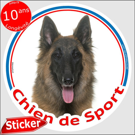 Sticker rond "Chien de Sport" Berger Belge Tervueren Tête, agility club adhésif photo, résiste pluie soleil gel, idée cadeau