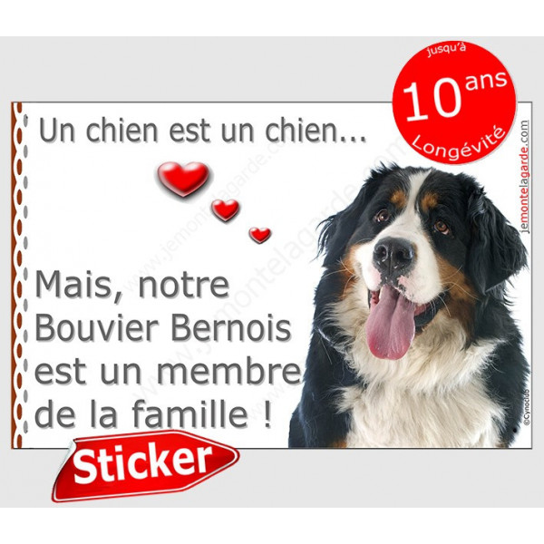 Bouvier Bernois Tête, sticker autocollant "Love" 16 x 11 cm, intérieur/Extérieur adhésif coeur voiture photo chien