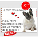 Bouledogue français caille assis, sticker autocollant "Love" 16 x 11 cm, intérieur/Extérieur