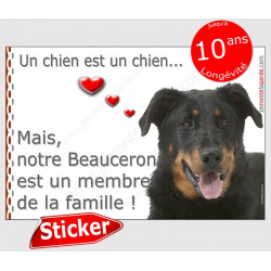 Beauceron, sticker autocollant "Love" 16 cm, intérieur ou Extérieur