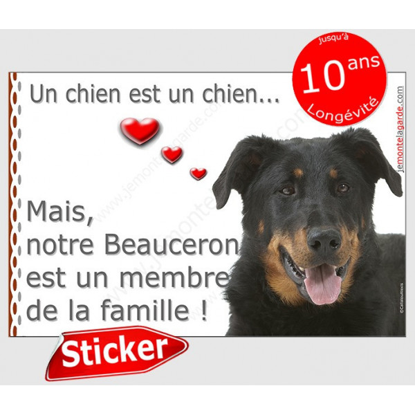 Beauceron Tête, sticker autocollant "Love" intérieur/Extérieur adhésif Berger de Beauce photo chien membre famille coeur