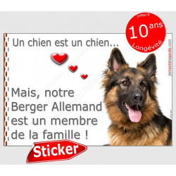 Berger Allemand noir et feu à poils long Tête, sticker autocollant "Love" intérieur/Extérieur photo chien membre famille