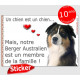 Berger Australien tricolore noir Tête, sticker autocollant "Love" intérieur/Extérieur Aussie photo chien membre famille
