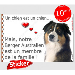 Berger Australien tricolore noir Tête, sticker autocollant "Love" intérieur/Extérieur Aussie photo chien membre famille