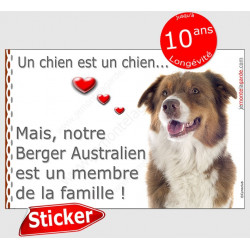 Sticker autocollant "Love" Berger Australien tricolore rouge Tête, intérieur/Extérieur, membre famille aussie cadeau photo chien