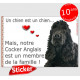 Cocker Anglais spaniel noir Tête, sticker autocollant "Love" intérieur/Extérieur adhésif photo chien membre famille