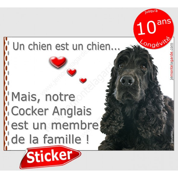 Cocker Anglais spaniel noir Tête, sticker autocollant "Love" intérieur/Extérieur adhésif photo chien membre famille